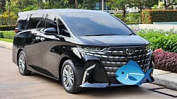 提供 Alphard 樣品